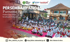 9. Pengarahan Seleksi Pengadaan PPPK JF Kesehatan 2023 Dari BKPSM Kabupaten Tabanan (2)