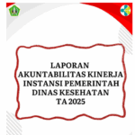 Laporan Akuntabilitas Kinerja Instansi Pemerintah Dinas Kesehatan TA 2025