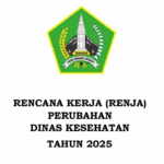 Rencana Kerja Perubahan Dinas Kesehatan TA 2025