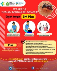 WhatsApp Image 2024-10-11 at 17.08.59