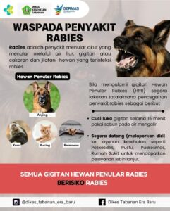 WhatsApp Image 2024-10-28 at 21.53.09