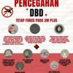 WhatsApp Image 2025-12-18 at 12.41.36