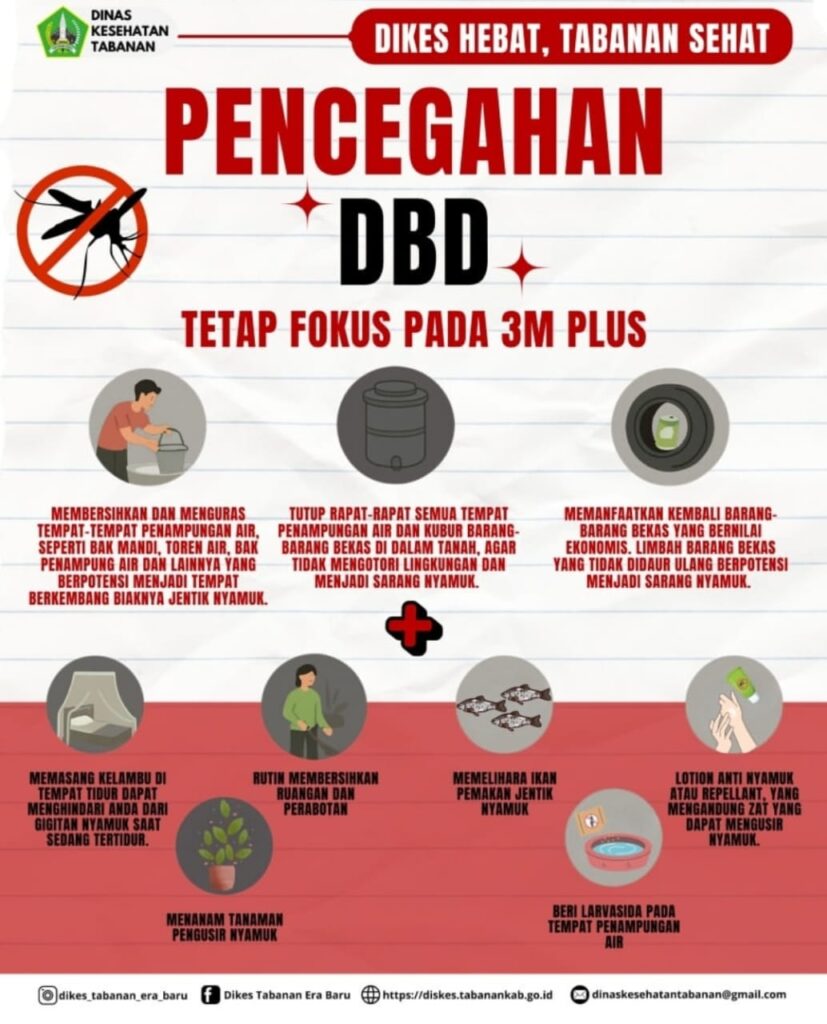 WhatsApp Image 2025-12-18 at 12.41.36